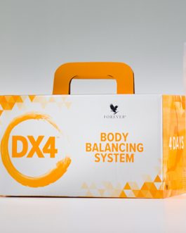 DX4 kūno subalansavimo sistema